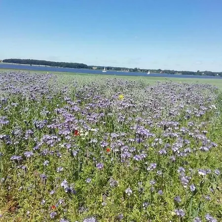 With 2 Bedrooms 펜션 *